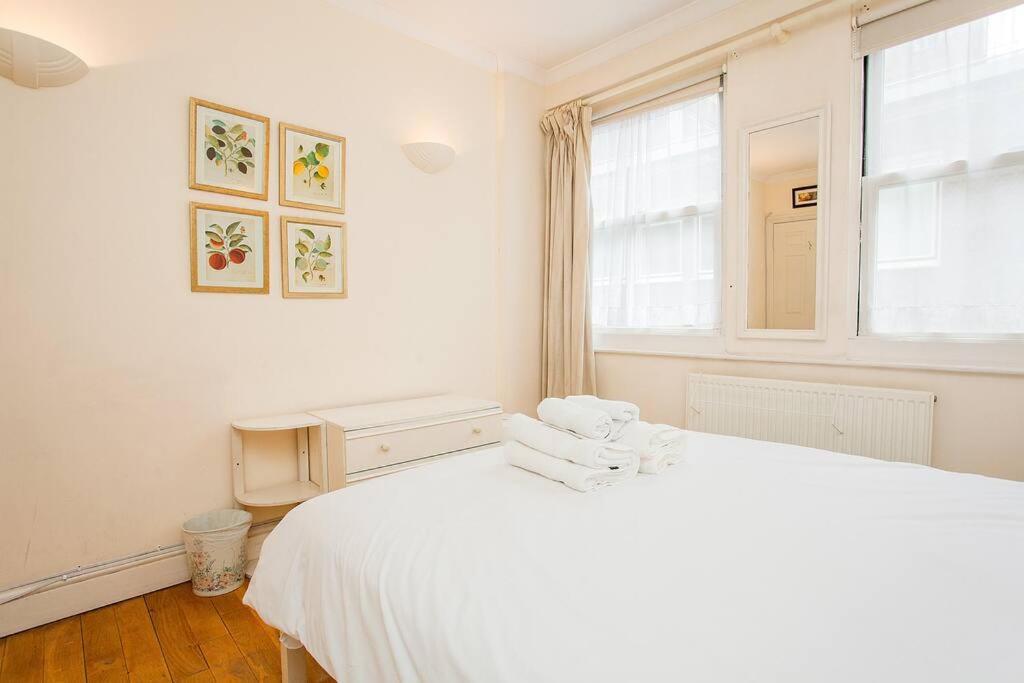 Bright 2 Bedroom Flat In Central Londra Dış mekan fotoğraf